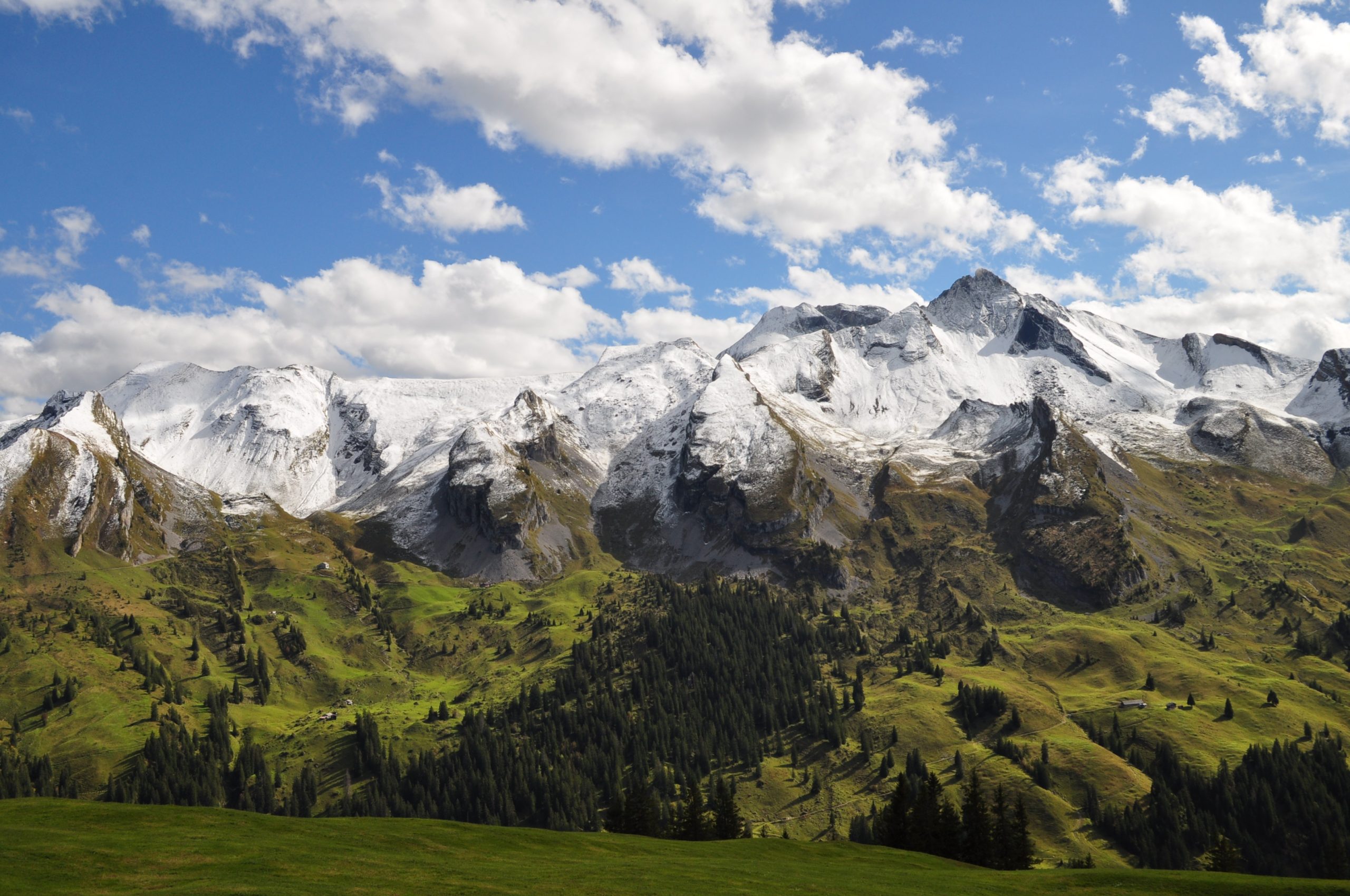 Musenalp, Switzerland