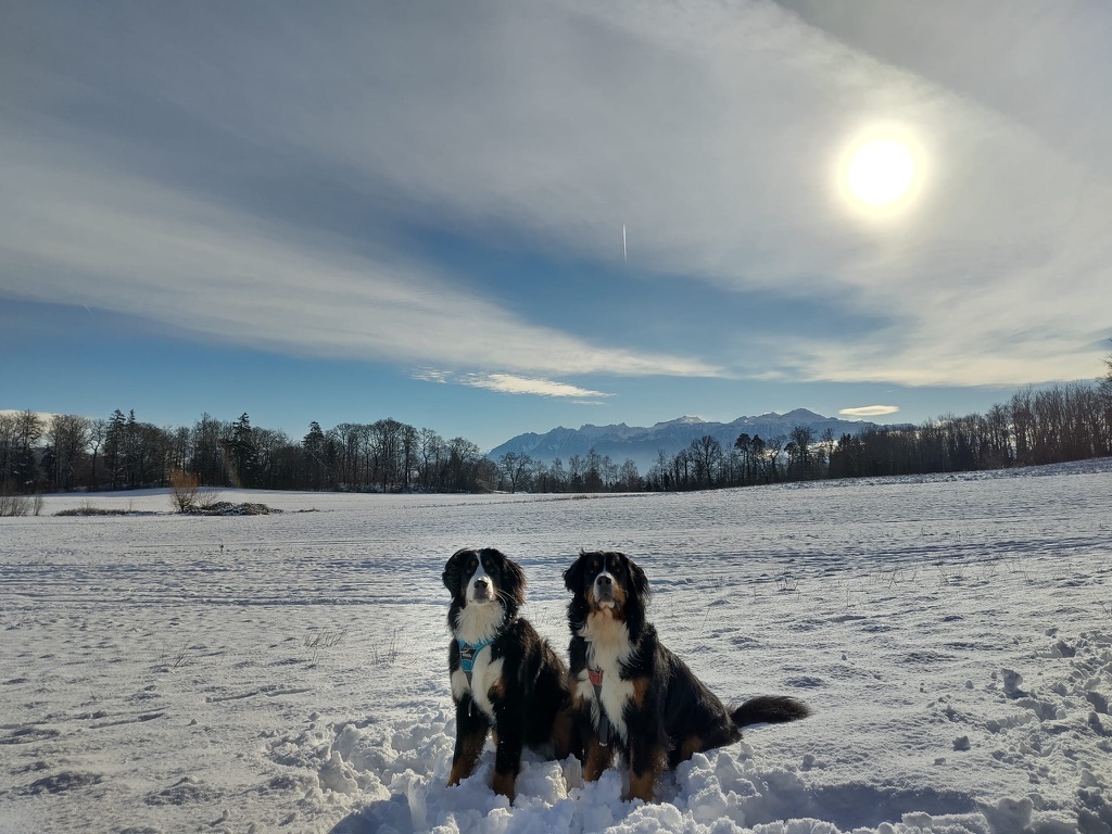 Rovéréaz, Switzerland